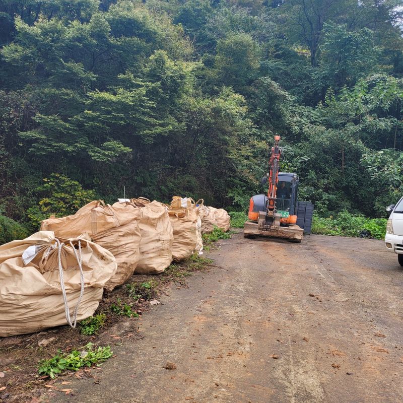 이호성님의 장터 판매 상품 [농장 개간이나 작업시 나오는 작물 수매합니다ㆍ 기타 수] 첨부 사진