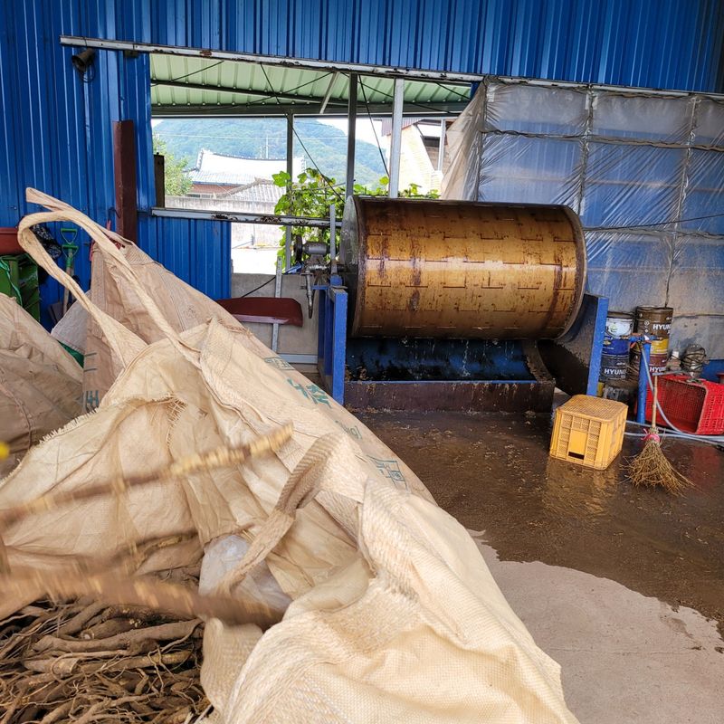 이호성님의 장터 판매 상품 [농장 개간이나 작업시 나오는 작물 수매합니다ㆍ 기타 수] 첨부 사진