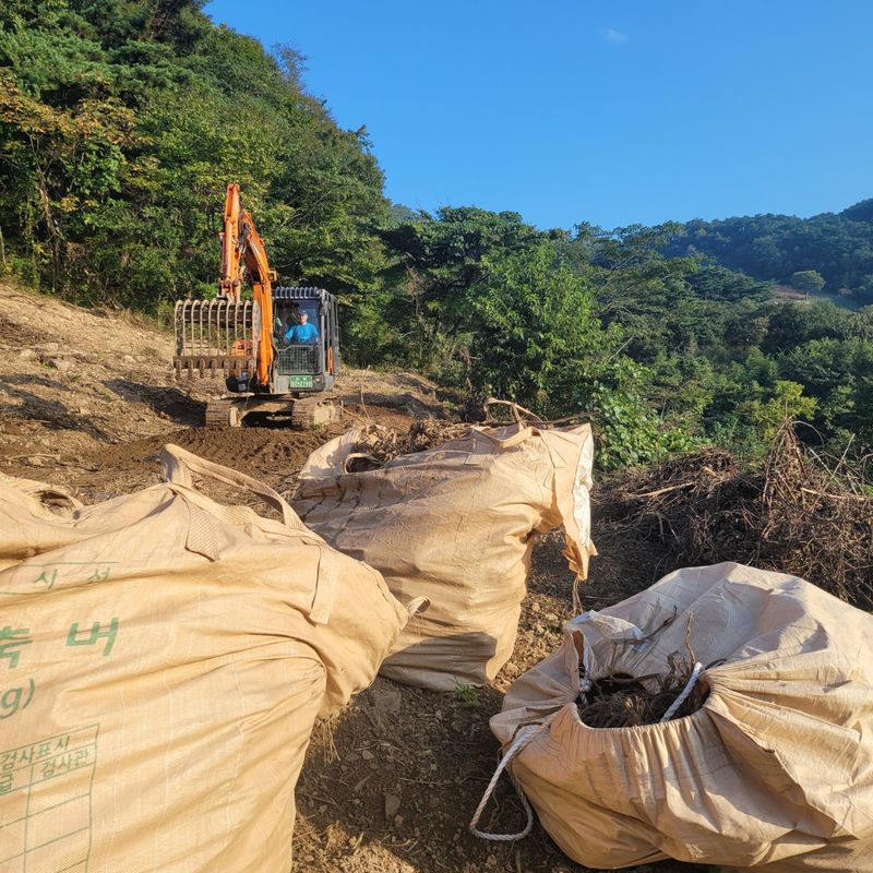 이호성님의 장터 판매 상품 [농장 개간이나 작업시 나오는 작물 수매합니다ㆍ 기타 수] 첨부 사진