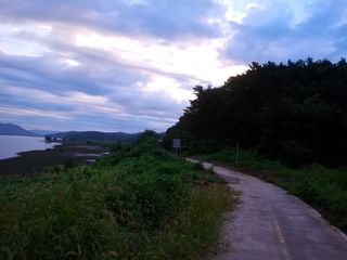 고독한농부님의 팜모닝 · 출석 작성글 사진