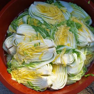 알 수 없음님의 자유주제 · 자유게시판 작성글 사진