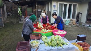 알 수 없음님의 자유주제 · 자유게시판 작성글 사진