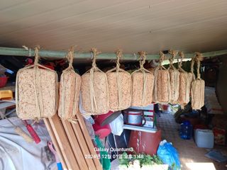 전진규.해돋이님의 기타작물 · 영농일지 작성글 사진