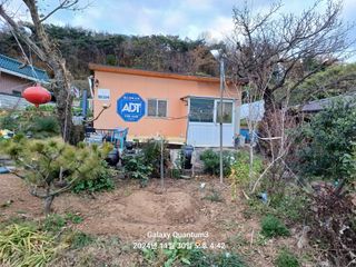 전진규.해돋이님의 기타작물 · 영농일지 작성글 사진