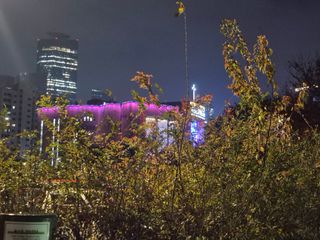 허굴산농장님의 자유주제 · 자유게시판 작성글 사진