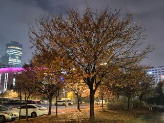 허굴산농장님의 자유주제 · 자유게시판 작성글 사진