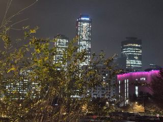 허굴산농장님의 자유주제 · 자유게시판 작성글 사진