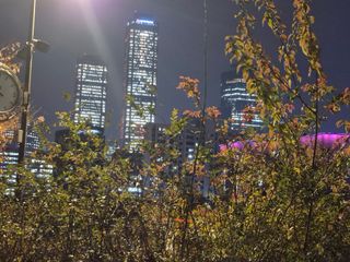 허굴산농장님의 자유주제 · 자유게시판 작성글 사진