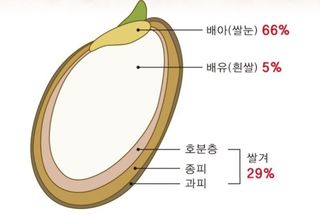 이경수님의 자유주제 · 자유게시판 작성글 사진