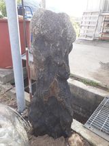 팜모닝 자유주제·자유게시판 게시글 이미지