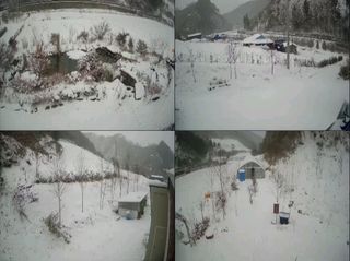 자연애 대풍농장님의 기타작물 · 영농일지 작성글 사진