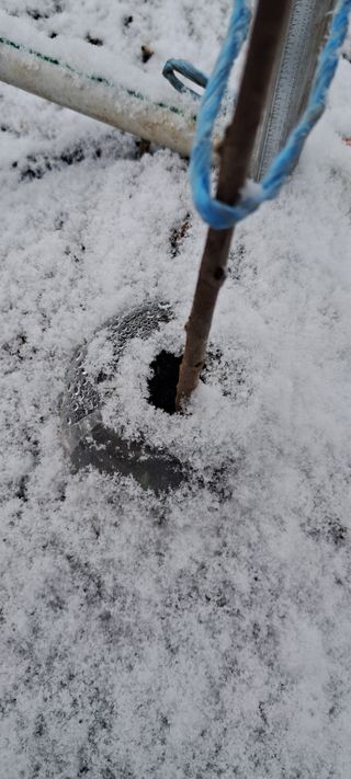 자연애 대풍농장님의 기타작물 · 영농일지 작성글 사진