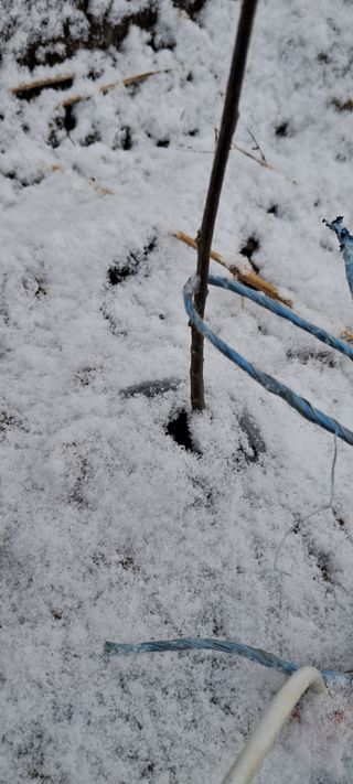 자연애 대풍농장님의 기타작물 · 영농일지 작성글 사진