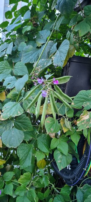 박순덕님의 자유주제 · 자유게시판 작성글 사진