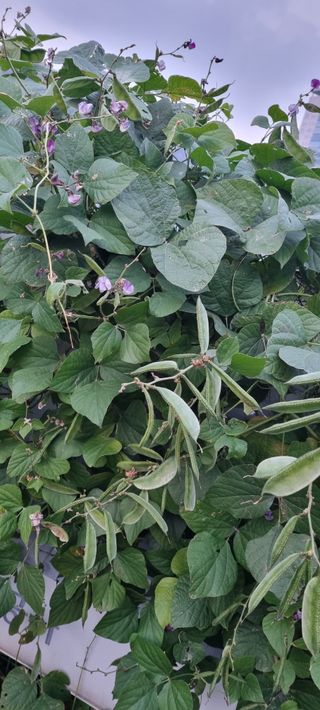 박순덕님의 자유주제 · 자유게시판 작성글 사진