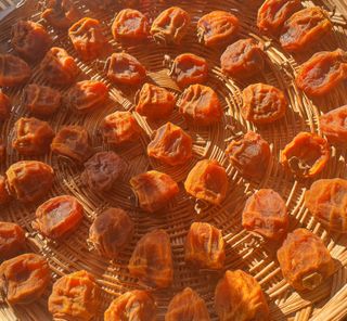 콩사랑님의 자유주제 · 자유게시판 작성글 사진