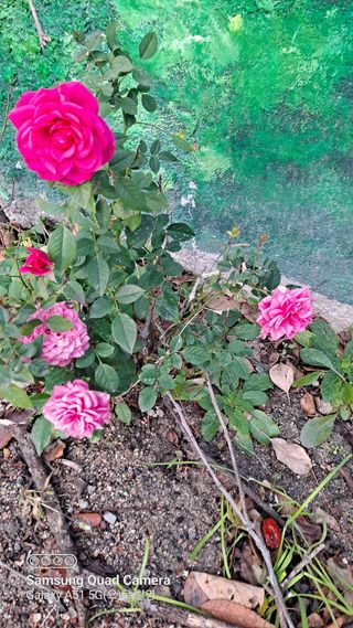 MSG0074님의 자유주제 · 자유게시판 작성글 사진