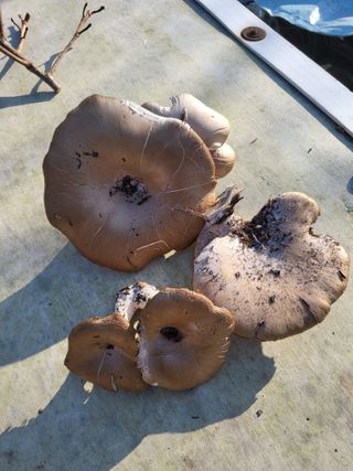 정수산님의 자유주제 · 자유게시판 작성글 사진