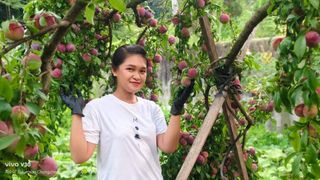 농민님의 자유주제 · 자유게시판 작성글 사진