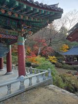 팜모닝 자유주제·자유게시판 게시글 이미지