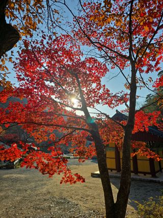 이원희님의 자유주제 · 자유게시판 작성글 사진