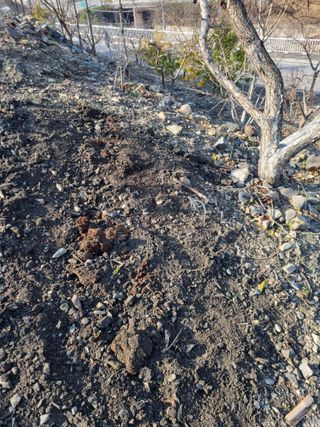 김용대님의 자유주제 · 자유게시판 작성글 사진