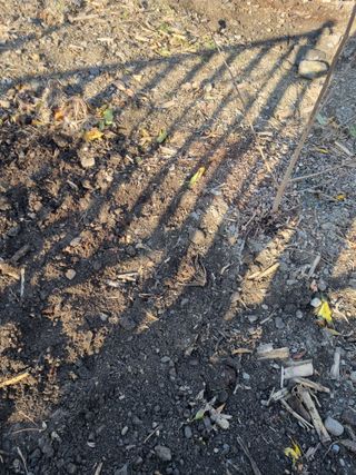 김용대님의 자유주제 · 자유게시판 작성글 사진