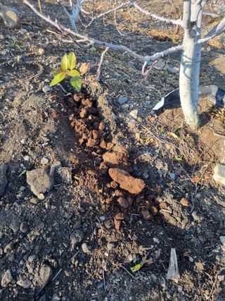 김용대님의 자유주제 · 자유게시판 작성글 사진