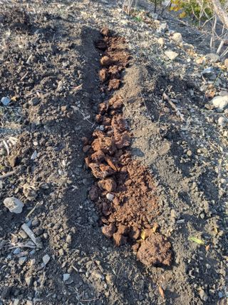 김용대님의 자유주제 · 자유게시판 작성글 사진