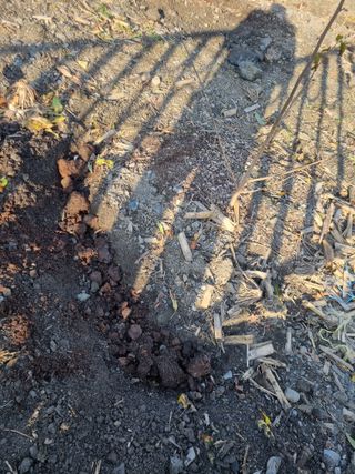 김용대님의 자유주제 · 자유게시판 작성글 사진