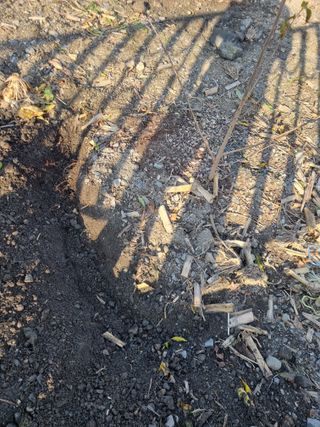 김용대님의 자유주제 · 자유게시판 작성글 사진