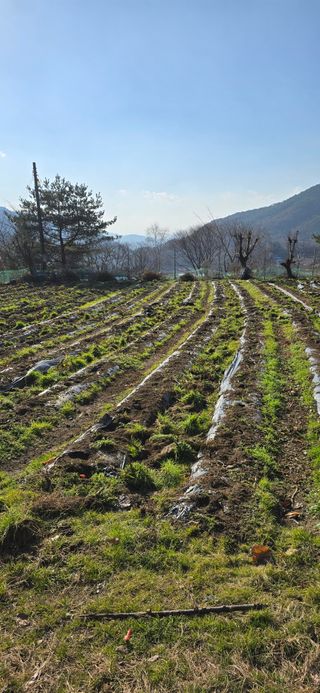 달빛소년(김광순)님의 자유주제 · 자유게시판 작성글 사진