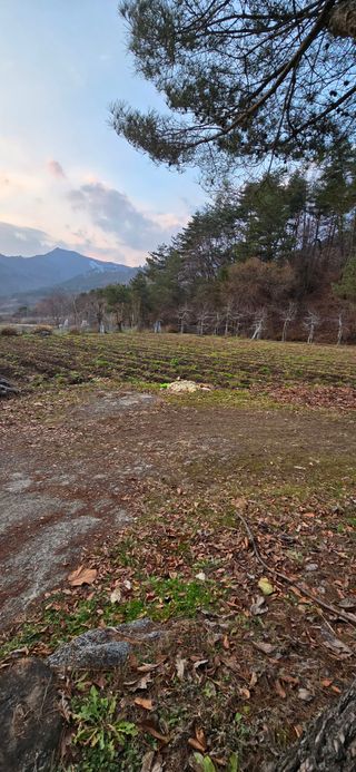 달빛소년(김광순)님의 자유주제 · 자유게시판 작성글 사진