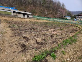 경달현님의 기타작물 · 영농일지 작성글 사진