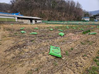 경달현님의 기타작물 · 영농일지 작성글 사진