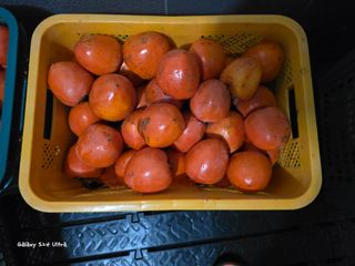 ♡청심전유삼♡님의 기타작물 · 영농일지 작성글 사진