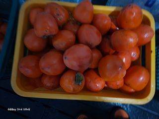 ♡청심전유삼♡님의 기타작물 · 영농일지 작성글 사진