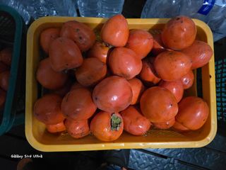 ♡청심전유삼♡님의 기타작물 · 영농일지 작성글 사진