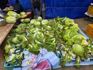 향기나무농장 님의 자유주제 · 자유게시판 작성글 사진