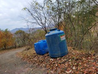 박헌님의 기타작물 · 영농일지 작성글 사진