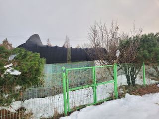 찬균park님의 자유주제 · 자유게시판 작성글 사진