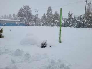 찬균park님의 자유주제 · 자유게시판 작성글 사진