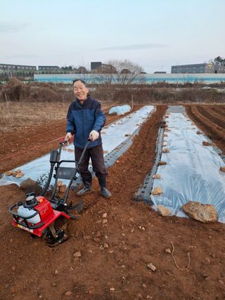 kh글로벌님의 기타작물 · 영농일지 작성글 사진