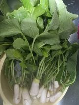 팜모닝 자유주제·자유게시판 게시글 이미지