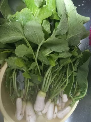 성순옥님의 자유주제 · 자유게시판 작성글 사진