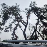 팜모닝 자유주제·자유게시판 게시글 이미지