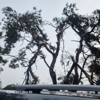 이천산수유님의 자유주제 · 자유게시판 작성글 사진