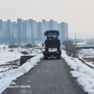 이천산수유님의 자유주제 · 자유게시판 작성글 사진
