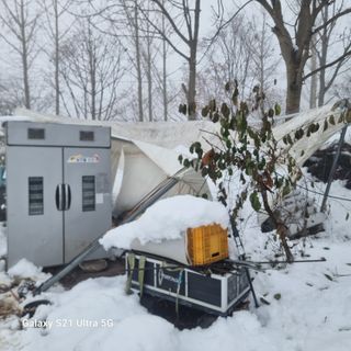 이천산수유님의 자유주제 · 자유게시판 작성글 사진
