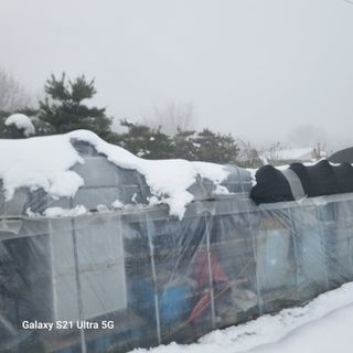 이천산수유님의 자유주제 · 자유게시판 작성글 사진